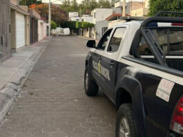 Policías de la SSPMQ pusieron a disposición de las autoridades a 78 personas durante la semana pasada