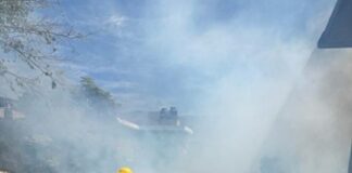 Mantiene Secretaría de Salud vigilancia epidemiológica de dengue