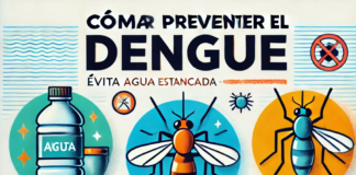 Consejos para prevenir el dengue 🦟🌡️