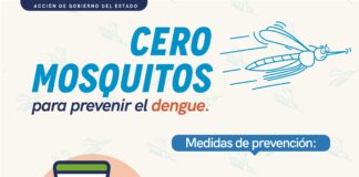 Lleva a cabo Secretaría de Salud vigilancia epidemiológica del dengue