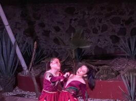 Asisten más de 2 mil personas a la Muestra Estatal de Teatro 2024