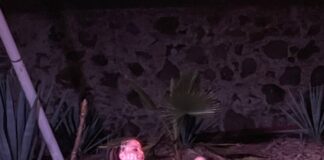 Asisten más de 2 mil personas a la Muestra Estatal de Teatro 2024