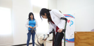 Arrancó SEDIF con el servicio de caninoterapia en el CRIQ