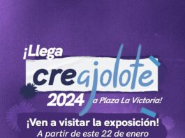 Llegan ajolotes de SEJUVE a Plaza La Victoria