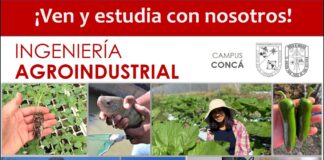 Convoca UAQ a sumarse al propedéutico de Ingeniería Industrial, en Concá