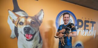 El Marqués certifica a mascotas para la seguridad de asistentes al estadio Corregidora