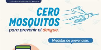 Lleva a cabo la Secretaría de Salud vigilancia epidemiológica del dengue