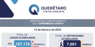 El estado de Querétaro con registro de dos pacientes leves de COVID-19
