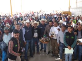 Entrega SEDEA maíz para consumo humano en Tolimán