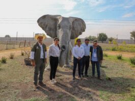 Proyectan reapertura del zoológico Wamerú para el 21 de marzo