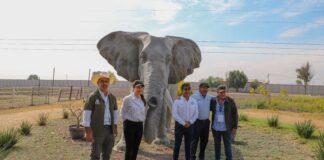 Proyectan reapertura del zoológico Wamerú para el 21 de marzo