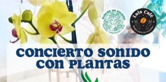 Realizarán concierto de música vegetal, encabezado por egresada UAQ