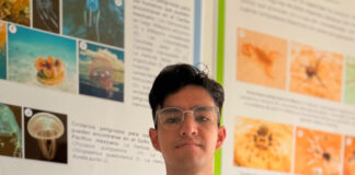 Analiza estudiante de Química UAQ el veneno de tarántula para crear nuevos fármacos