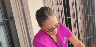 Aplicadas 500 mil 255 dosis de vacuna contra influenza