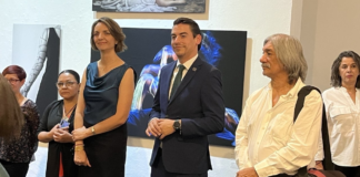 Con cuatro muestras abre la Galería Libertad su tercera temporada de exposiciones 2025