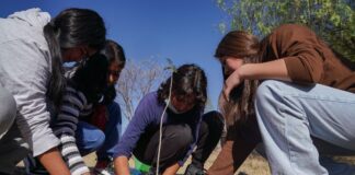 Comienza UAQ Campaña de Reforestación