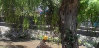 La Secretaría de Salud realiza vigilancia epidemiológica del dengue en el estado