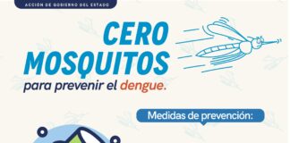 La Secretaría de Salud mantiene vigilancia epidemiológica del dengue