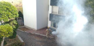 La Secretaría de Salud efectúa vigilancia epidemiológica del dengue