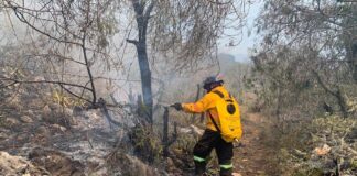 Mantiene la Coordinación Estatal de Protección Civil de Querétaro labores coordinados para atender incendio forestal en La Tinaja
