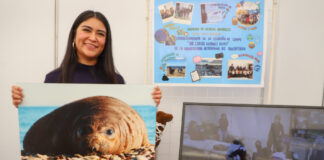 Financia UAQ 116 iniciativas estudiantiles con más de 6 millones de pesos