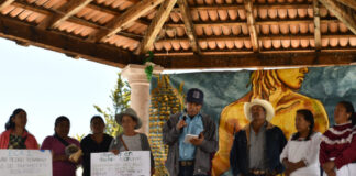 Promueve UAQ soberanía alimentaria y preservación del maíz, en Amealco