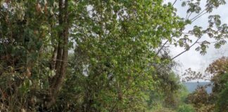 Titular de la Secretaría de Desarrollo Social del Estado supervisa avance de obras en la Sierra Gorda