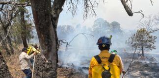 La Coordinación Estatal de Protección Civil de Querétaro coordina labores para sofocar incendio forestal entre Amealco y Huimilpan
