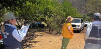 La Secretaría de Salud realiza operativo de vigilancia epidemiológica y sanitaria en Ayutla, Arroyo Seco