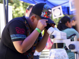 Celebra UAQ a niñas y niños con juegos y actividades científicas