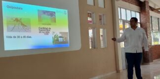 Capacita la Secretaría de Salud con el tema de dengue a médicos en Cadereyta