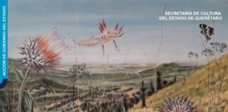 Abre el Museo Histórico de la Sierra la muestra Hábitats Cambiantes