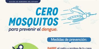 Secretaría de Salud lleva a cabo vigilancia epidemiológica del dengue en el estado