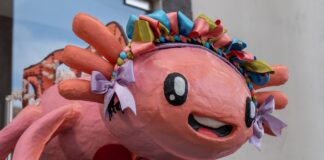 Llega al Museo Anbanica de Historia la exposición Creajolote 2024