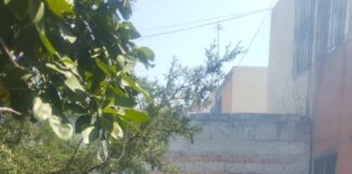 Secretaría de Salud realiza vigilancia epidemiológica del dengue