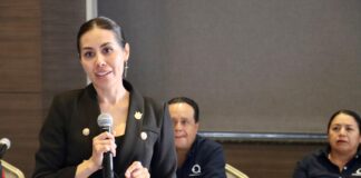 Participa Liliana San Martín en diálogo con el Clúster Automotriz