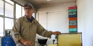 Apiario UAQ: espacio de cuidado, investigación y creación de productos