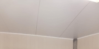 La Secretaría de Cultura del estado refrenda su compromiso con la niñez queretana