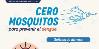 Realiza Secretaría de Salud vigilancia epidemiológica del dengue