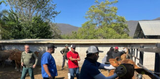 Encabeza UAQ jornada veterinaria en Concá
