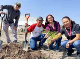 Reforestan UAQ y autoridades municipales el campus San Juan del Río