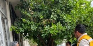 Secretaría de Salud apoya en colonias afectadas por lluvias en el municipio de Querétaro