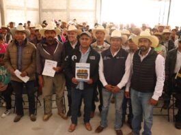La Secretaría de Desarrollo Agropecuario entrega forraje para ganado en Cadereyta