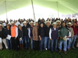 La Secretaría de Desarrollo Agropecuario Entrega forraje a 260 productores pecuarios en Colón y Tolimán