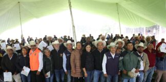 La Secretaría de Desarrollo Agropecuario Entrega forraje a 260 productores pecuarios en Colón y Tolimán