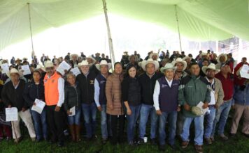 La Secretaría de Desarrollo Agropecuario Entrega forraje a 260 productores pecuarios en Colón y Tolimán