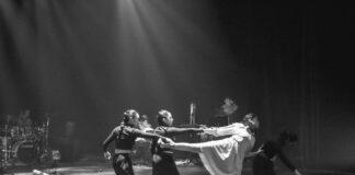 Llega Cronopio Ensamble al Museo de la Ciudad con Creación de las Aves