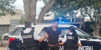 Detenido por delitos contra la seguridad pública y contra la salud