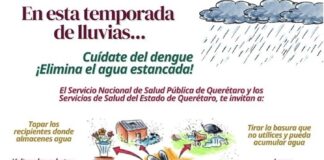 Secretaría de Salud lleva a cabo vigilancia epidemiológica del dengue