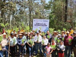 Suman casi 200 mil árboles en reforestación para el Estado: Secretaría de Desarrollo Agropecuario